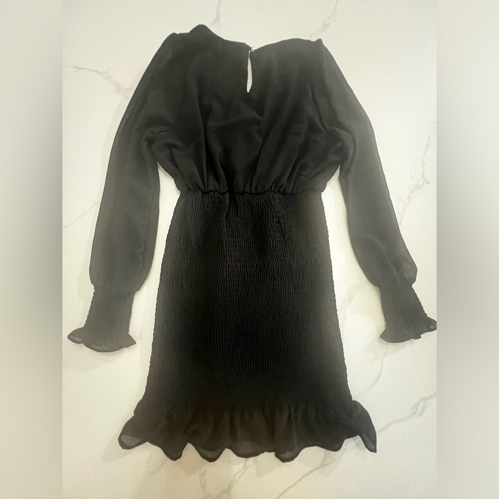 Hyfve Women’s Black Sheer Sleeve Fitted Smocked Dress  great condition S - Picture 4 of 10
